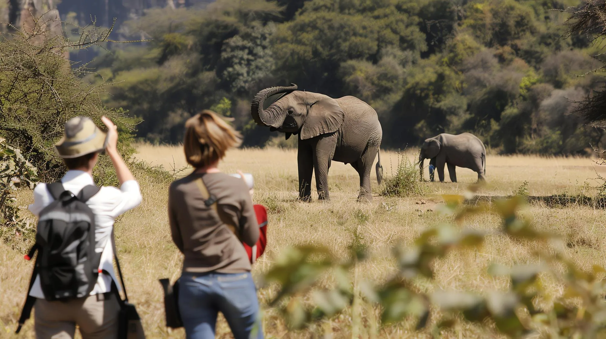 Two people observing and photographing two elephants in a grassy safari landscape with trees in the background.